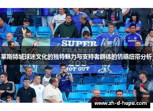 莱斯特城球迷文化的独特魅力与支持者群体的情感纽带分析 莱斯特城球迷文化的独特魅力与支持者群体的情感纽带分析