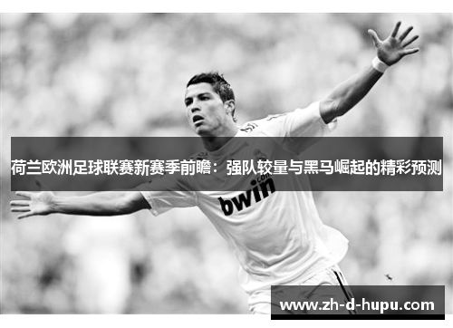 荷兰欧洲足球联赛新赛季前瞻：强队较量与黑马崛起的精彩预测