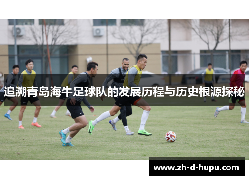 追溯青岛海牛足球队的发展历程与历史根源探秘