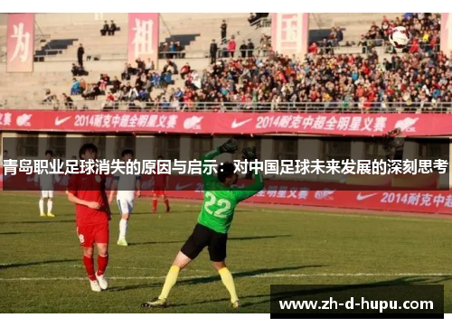 青岛职业足球消失的原因与启示：对中国足球未来发展的深刻思考